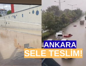Ankara Sele Teslim!